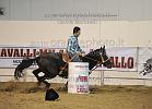 PALMIERI PASQUALE_RC OVER THE TOP